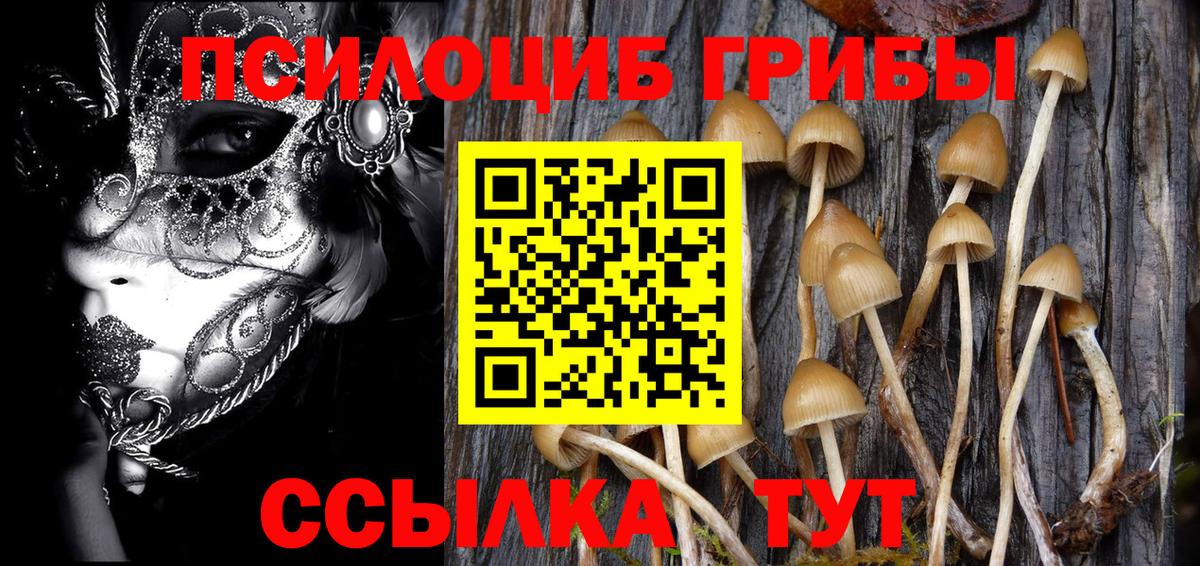 Галлюциногенные грибы MAGIC MUSHROOMS Новотроицк
