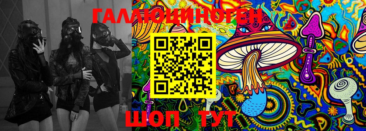 Новотроицк  Галлюциногенные грибы MAGIC MUSHROOMS  Вход с VPN 